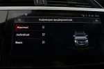 AUDI Q8 e-tron RVS-734 carousel thumbs