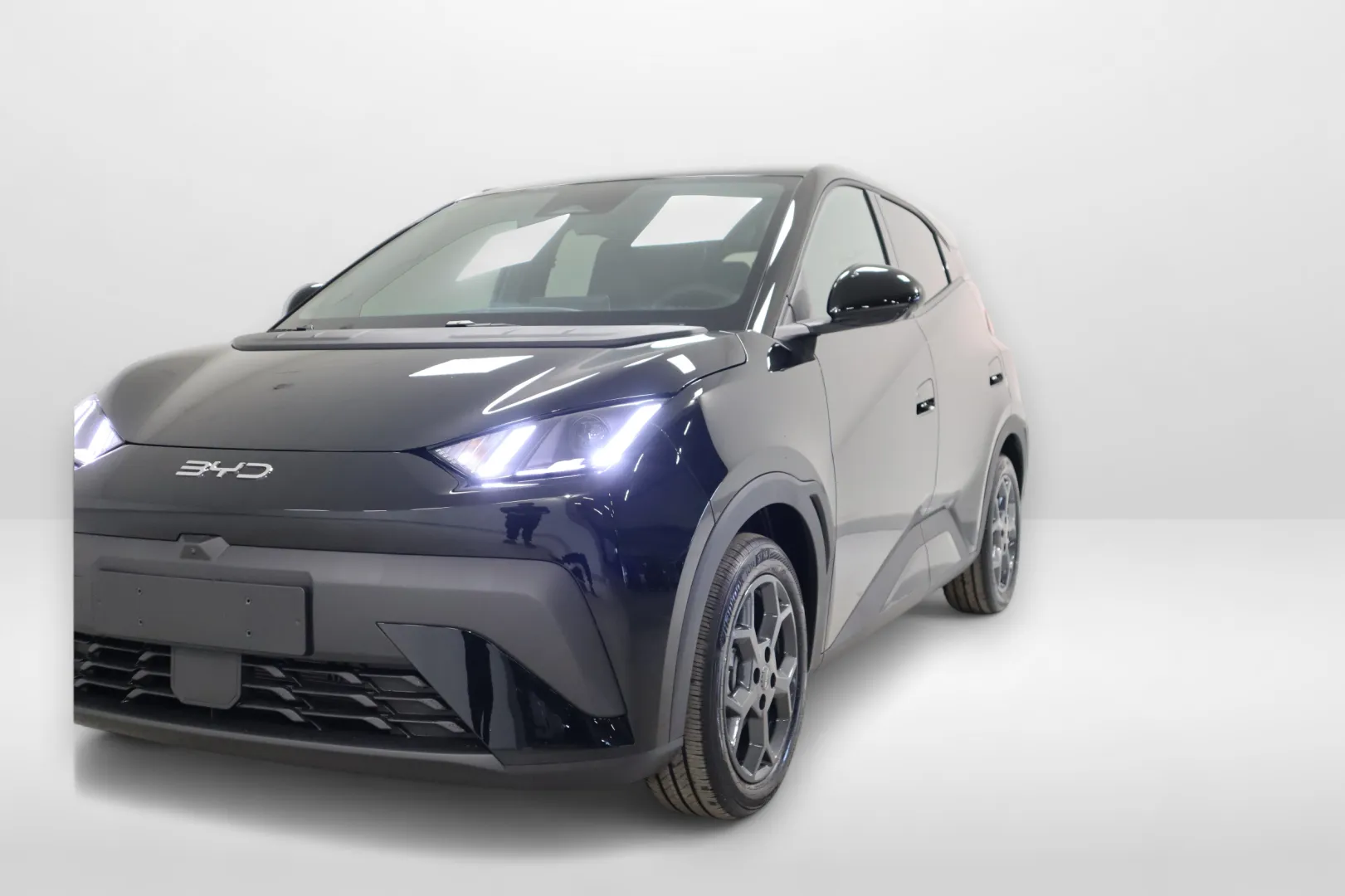 BYD Dolphin Surf CSM-905 carousel image