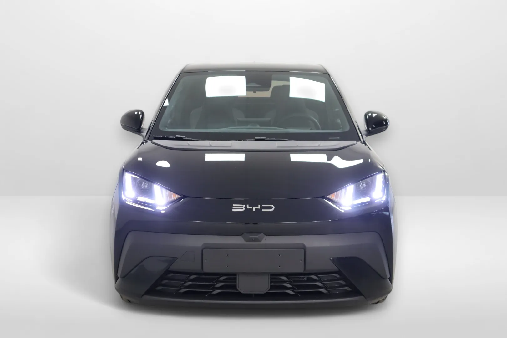 BYD Dolphin Surf CSM-905 carousel image