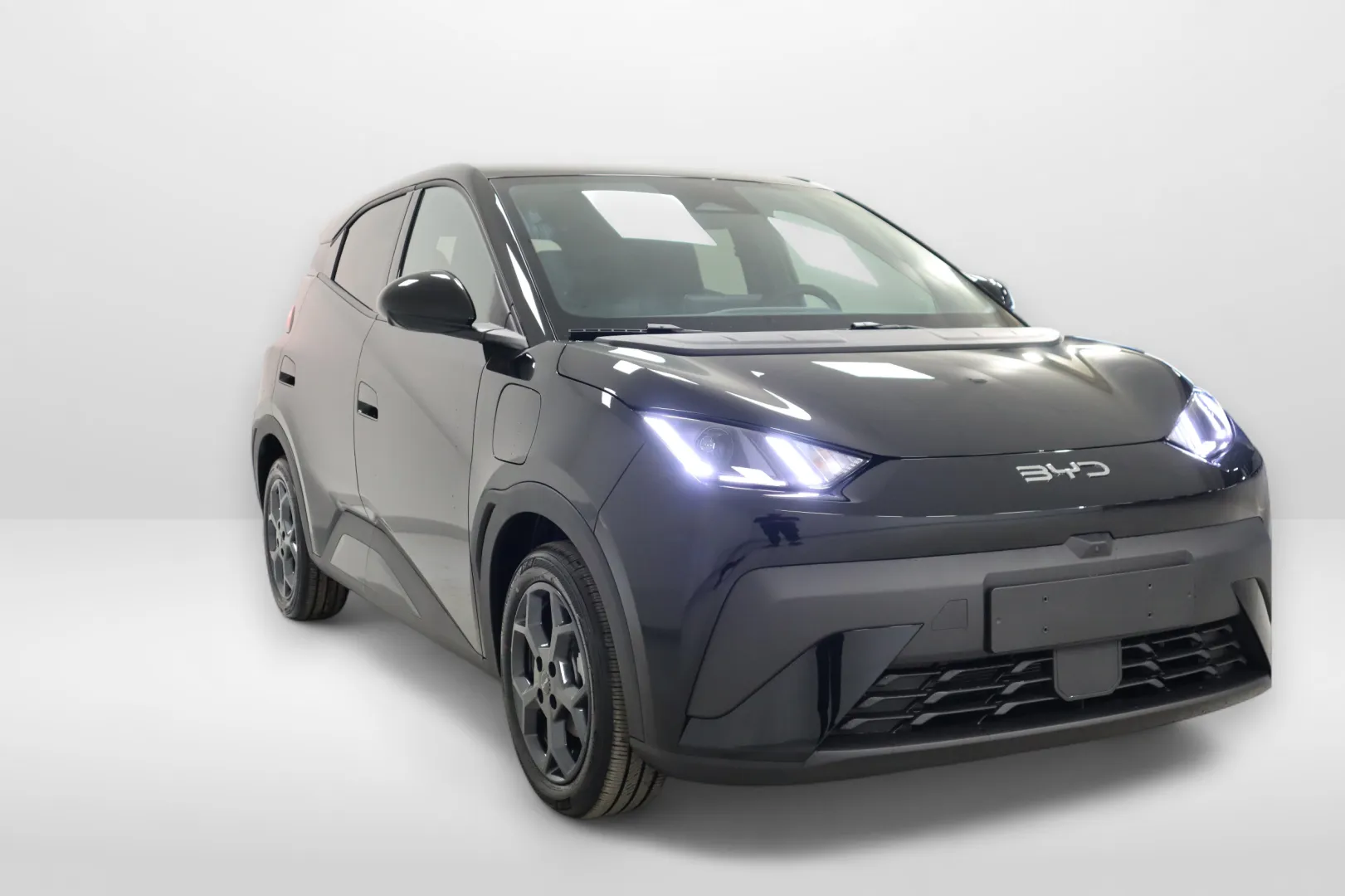 BYD Dolphin Surf CSM-905 carousel image