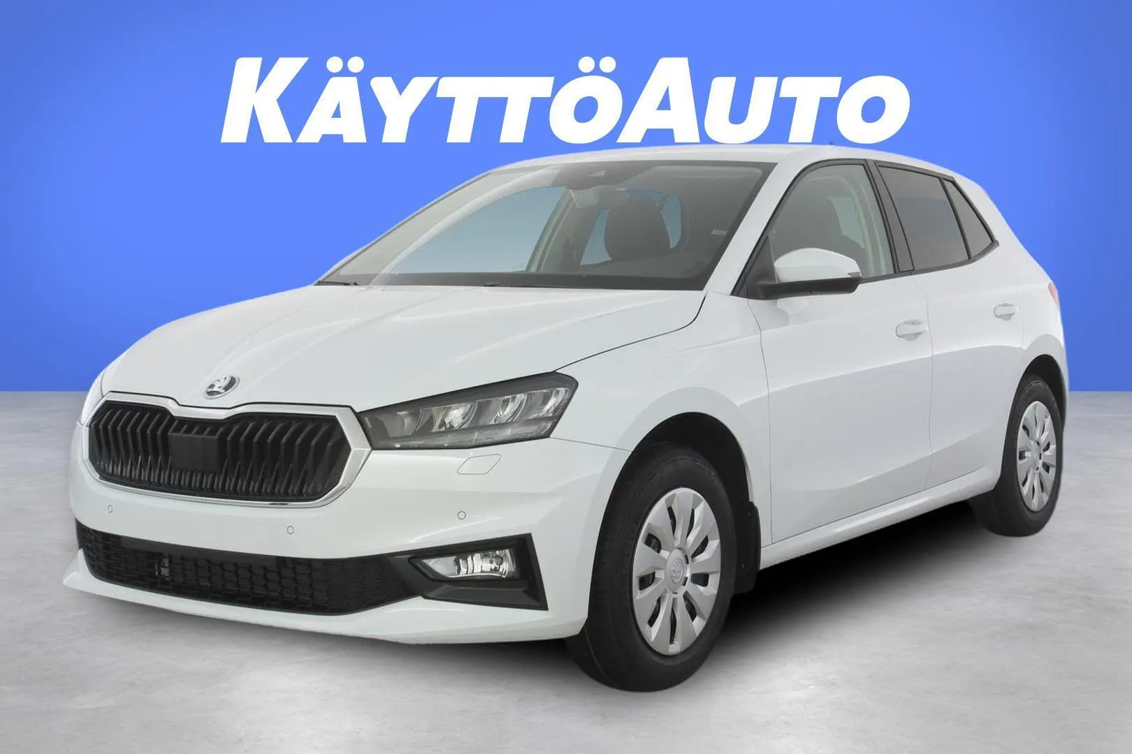 Skoda Fabia JOH-542 carousel image