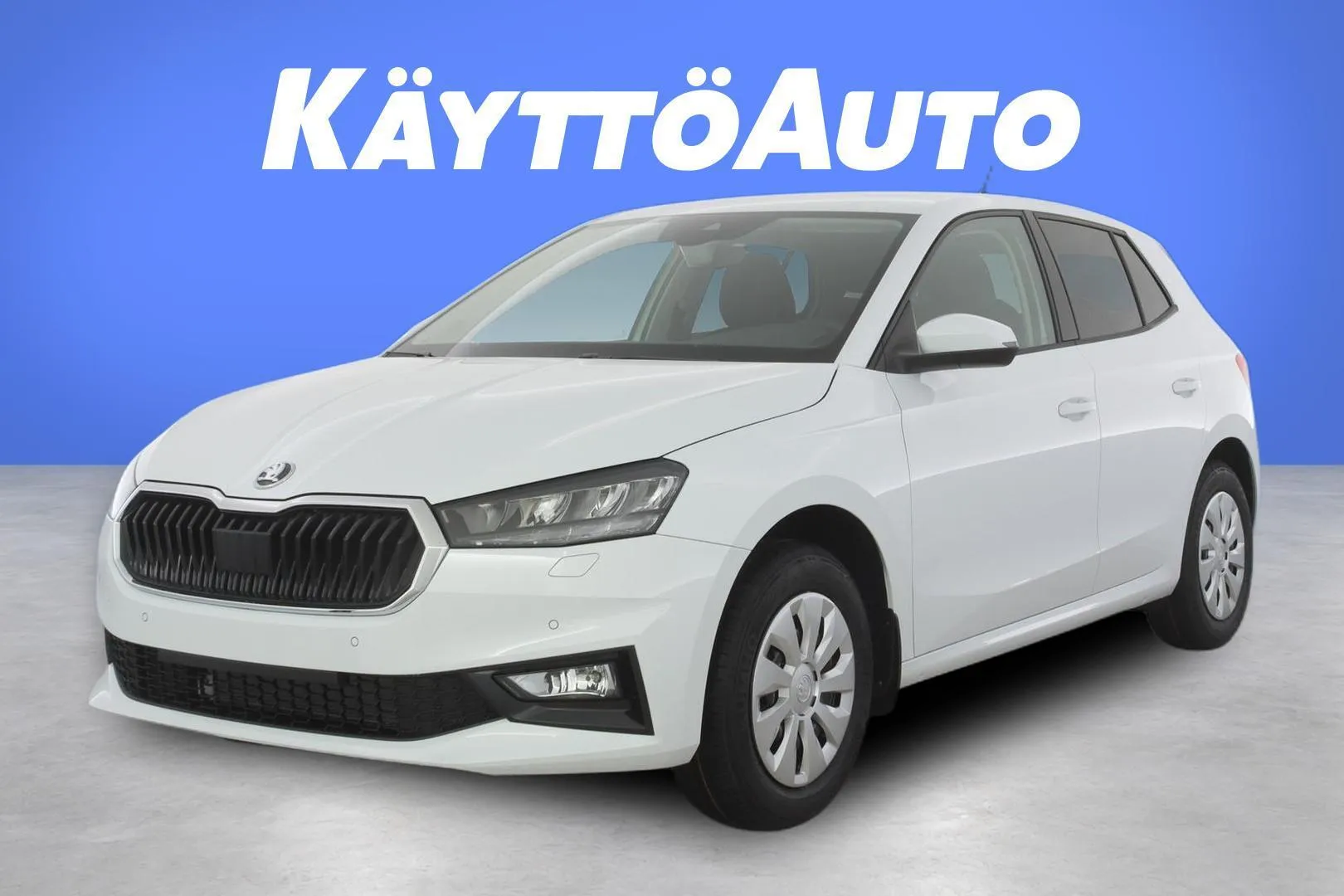 Skoda Fabia JOH-542 carousel image