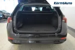 Skoda Octavia ESS-584 carousel thumbs