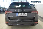 Skoda Octavia ESS-584 carousel thumbs