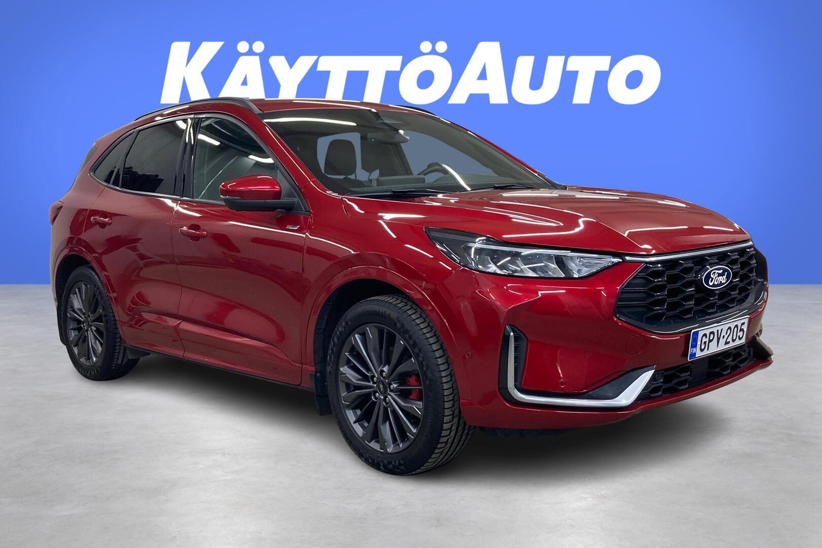 Ford Kuga 2024, photo 7/29