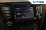 Skoda Octavia BSU-196 carousel thumbs
