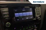 Skoda Octavia BSU-196 carousel thumbs