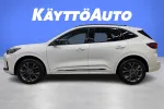 Ford Kuga NOM-509 carousel thumbs