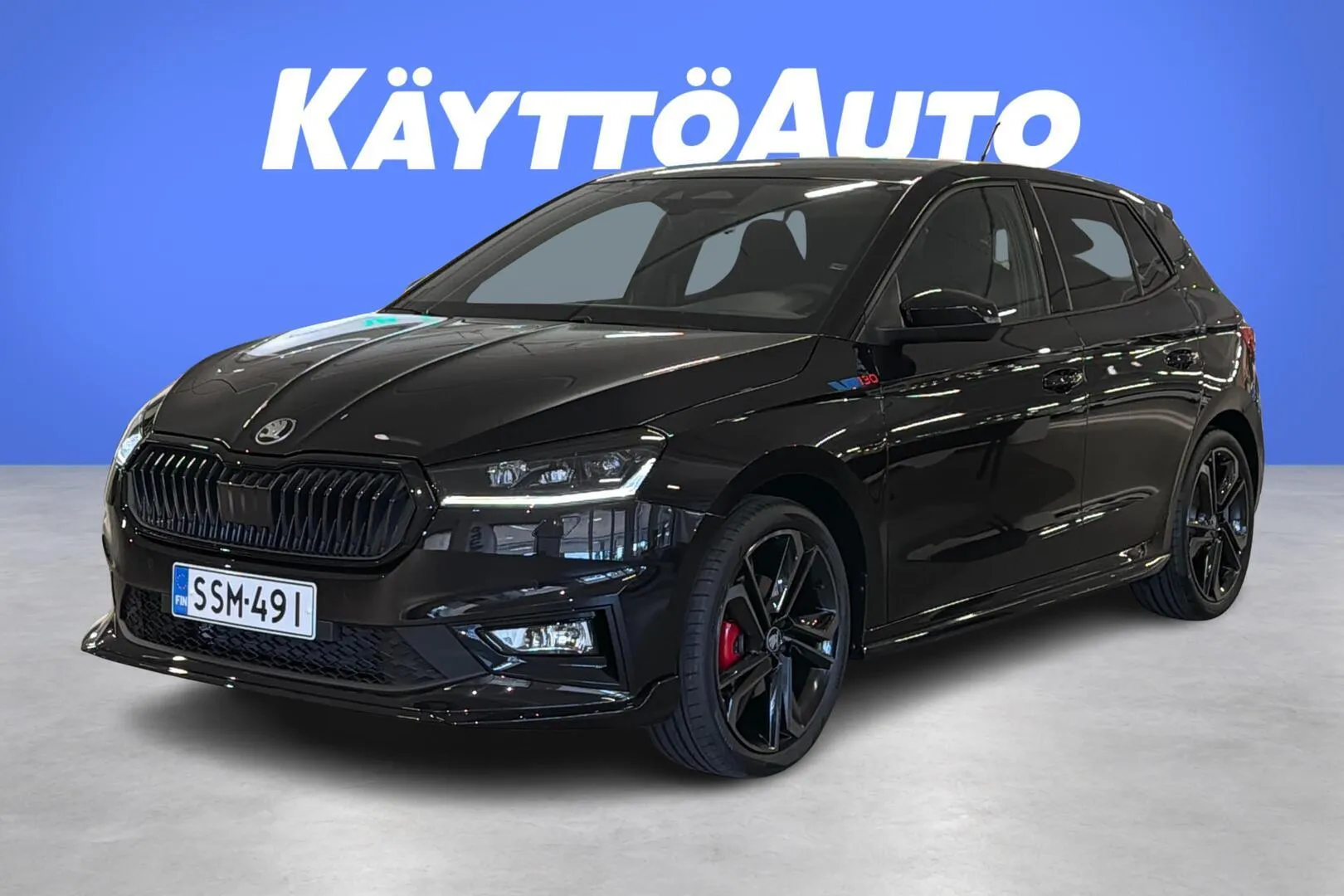 Skoda Fabia SSM-491 carousel image