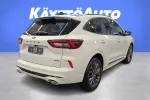 Ford Kuga YMR-855 carousel thumbs