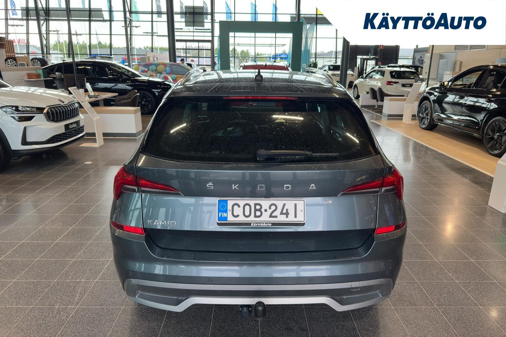 Skoda Kamiq 2019, photo 6/16