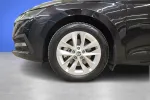 Skoda Octavia NNK-607 carousel thumbs