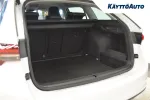Skoda Octavia JNP-135 carousel thumbs