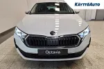 Skoda Octavia JNP-135 carousel thumbs