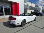 FORD Mustang CNE-512 carousel thumbs