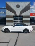 FORD Mustang CNE-512 carousel thumbs