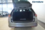 Skoda Octavia ZPM-194 carousel thumbs