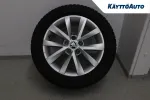 Skoda Octavia RTM-397 carousel thumbs
