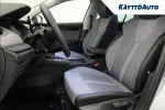 Skoda Octavia ZPR-549 carousel thumbs
