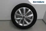 Skoda Octavia YLG-145 carousel thumbs