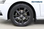 Skoda Octavia YLG-145 carousel thumbs