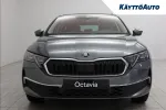 Skoda Octavia SRJ-250 carousel thumbs