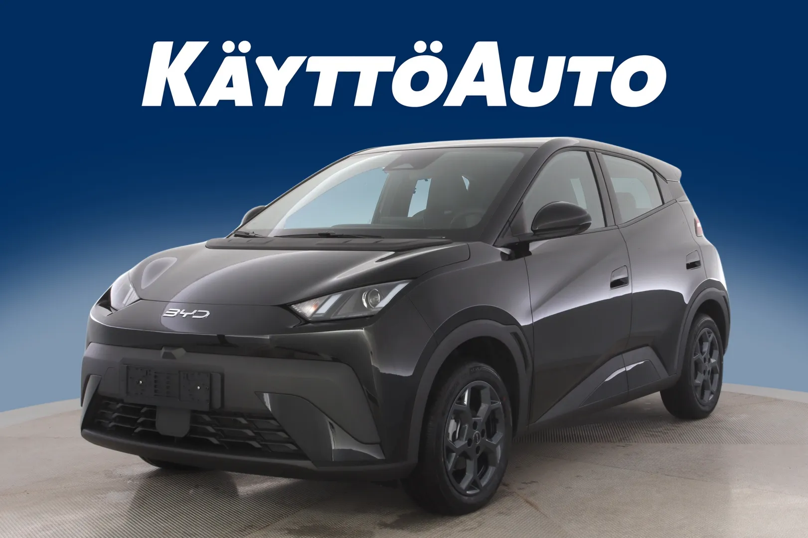 BYD Dolphin Surf FSS-166 carousel image